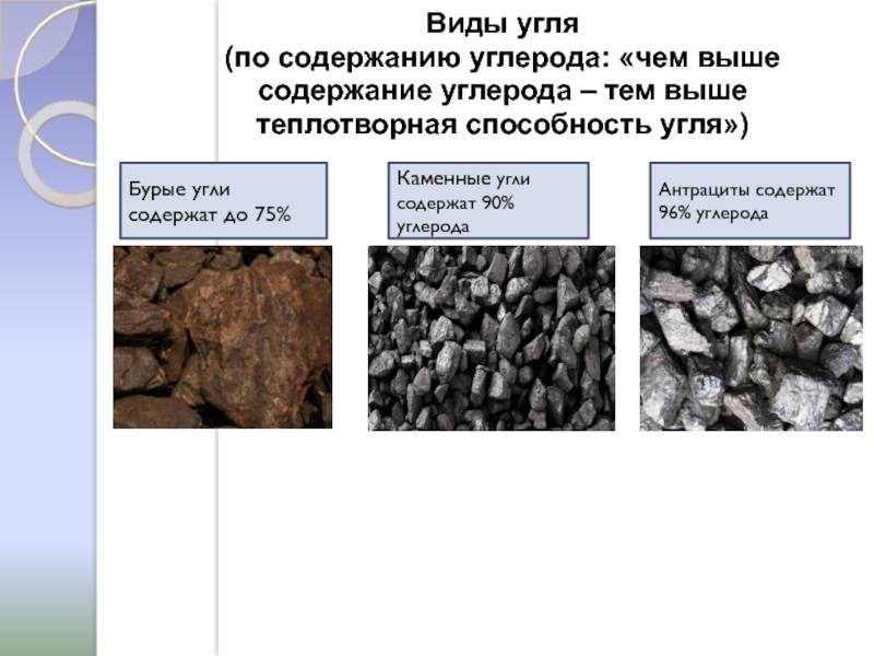 Формирование залежей каменного угля возникновение первых рептилий. Виды угля. Типы каменного угля. Каменный уголь.