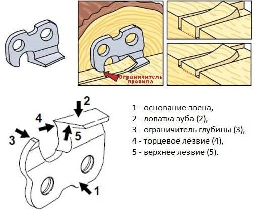 Как заточить цепь бензопилы. правила заточки напильником. инструменты для заточки.