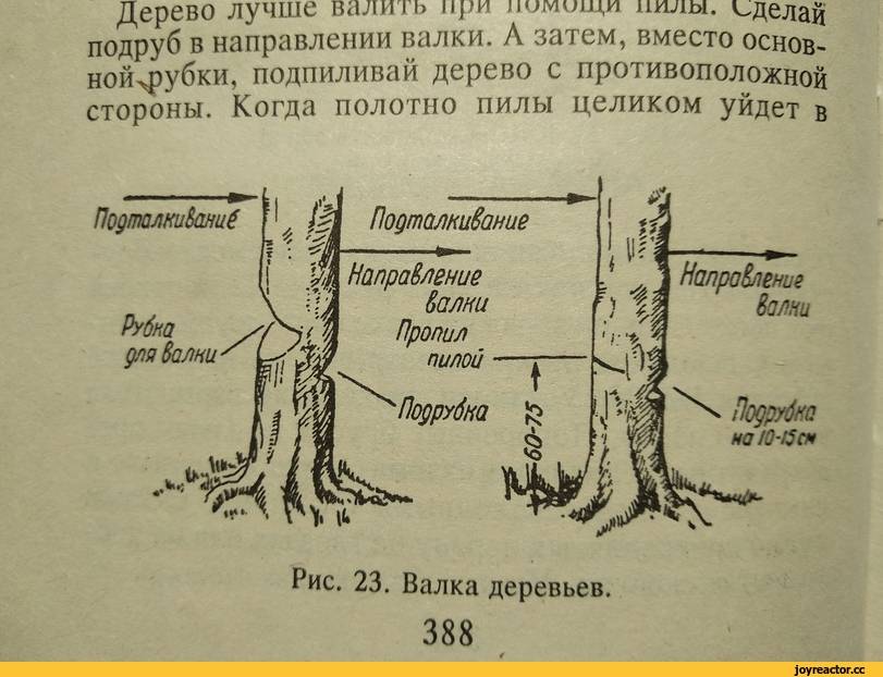 Как правильно пилить