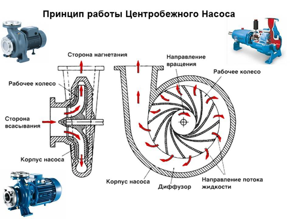 Центробежный водяной насос: виды, принцип действия | гидро гуру