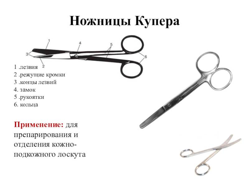 Как правильно выбрать ножницы для резки металла: советы профессионалов