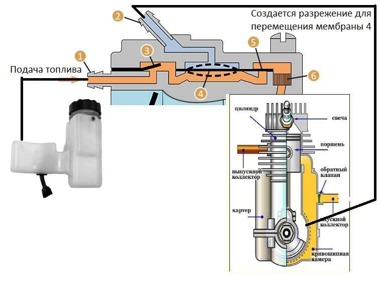 Как устроен карбюратор современной бензопилы
