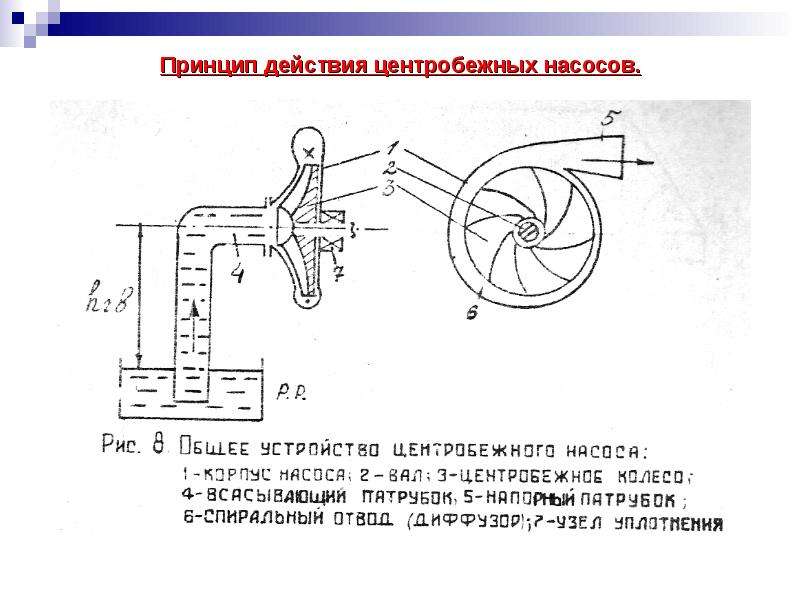 Центробежные насосы — устройство, виды, особенности, монтаж