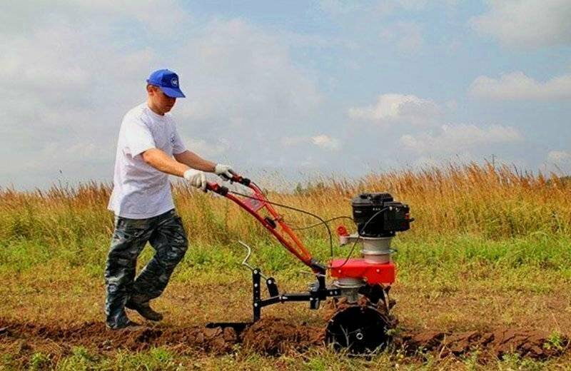 ‍обзор лучших культиваторов 2023 года