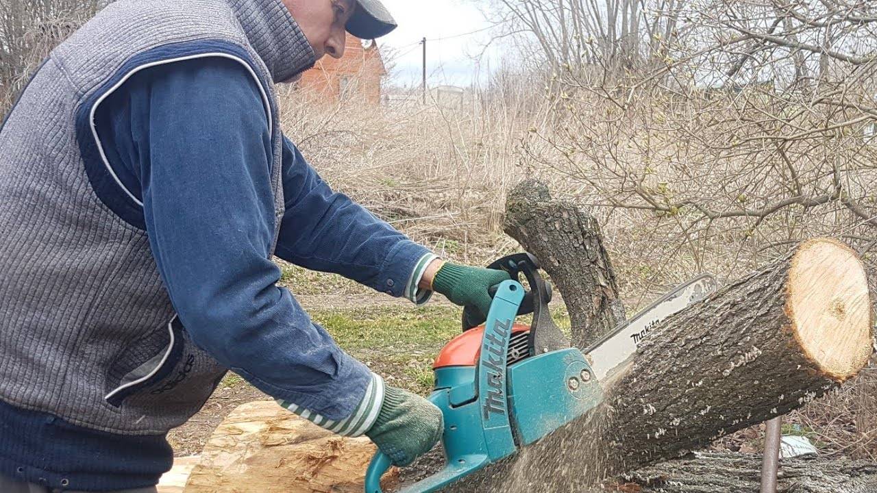 Как правильно спилить дерево бензопилой – безопасно и эффективно!