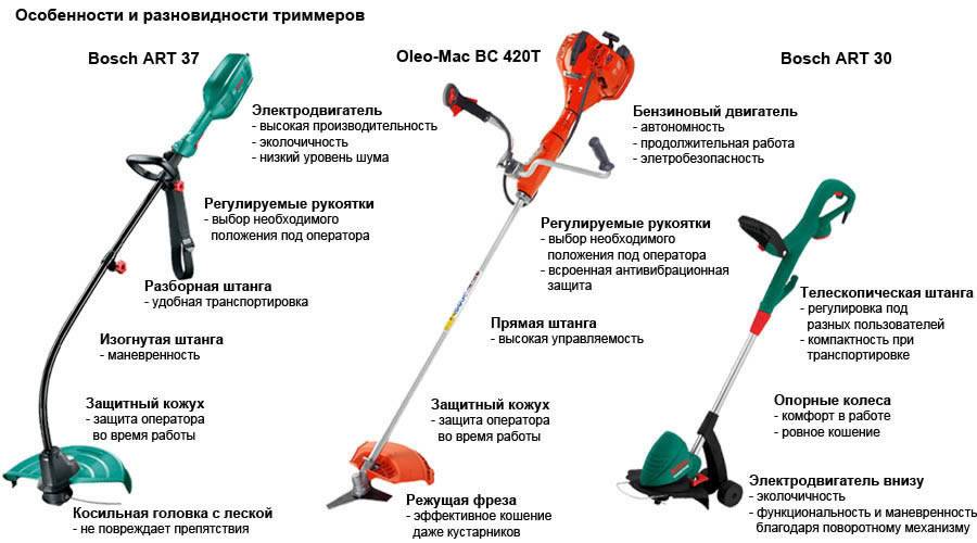 Триммер для волос: назначение, виды, как выбрать