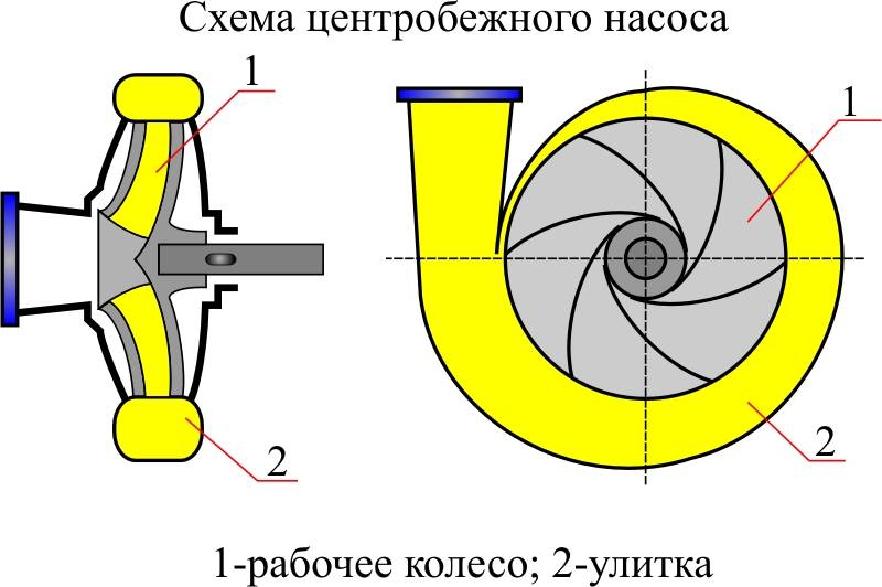 Схема насоса. Центробежный насос на ДНС схема. Рабочее колесо(центробежный консольный насос 1к 20/30). Улитка центробежного нефтяного насоса схема. Схема конструкции рабочего колеса пожарного центробежного насоса..